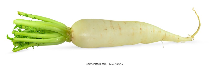 White Radish Images Stock Photos Vectors Shutterstock