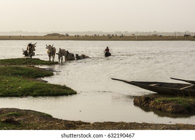 Daily activities on the river Banks, Niger River, Mali
