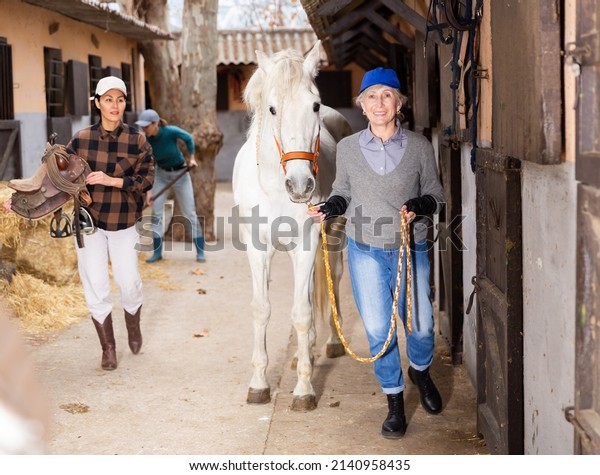 Daily work in horse yard. Smiling older female\
stable keeper leading white racehorse to riding arena, Asian woman\
carrying saddle for horseback ride and young girl arranging hay in\
background