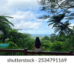 Daintree Rainforest Alexandra Lookout View Forest Cairns Australia North Tropical Queensland