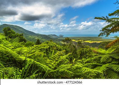 Daintree Tropical Rainforest Stormy Sky Coral Sea Barrier Reef North Queensland Lookout