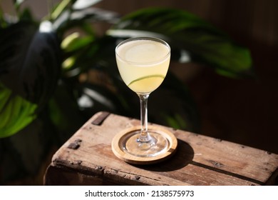 Daiquiri Rum Cocktail in Nick and Nora Glass on wooden armrest against tropical plant background