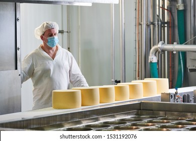 Dairy Factory. Worker At Cheese Food Production Conveyer