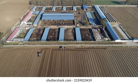 Dairy Farm Aerial Landscape, North China