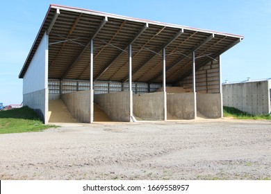 Dairy Farm In Canada Cow Cows Dairy, Holstein Farm Milking