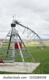 Dairy Farm Irrigation System Or Watering System.Large Water Sprinkler System In Dairy Farm.