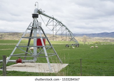 Dairy Farm Irrigation System Or Watering System.Large Water Sprinkler System In Dairy Farm.