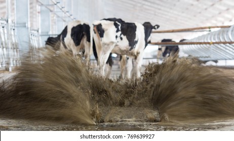 Dairy Farm Waste Management