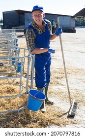 Dairy Farm Worker Cleaning And Feeding Calves On The Farm