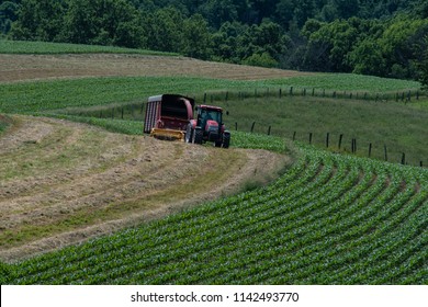 Dairy Farmer Putting Up Haylage In Early Summer In Rural Appalachia