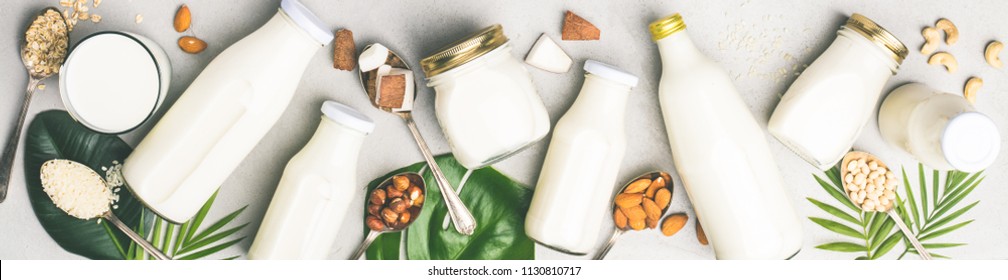 Dairy Free Milk Substitute Drinks And Ingredients