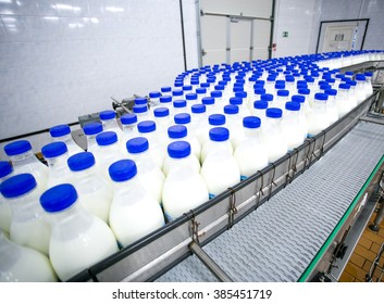 Dairy Plant, Conveyor With Milk  Bottles 