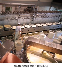 A Dairy Plant In Switzerland Processing Fresh Milk Into Cheese.