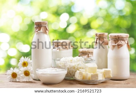 Dairy products. Bottles of milk, cheese, cottage cheese, yogurt, butter on a green background