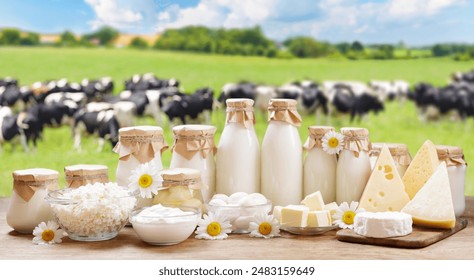 Dairy products. Bottles of milk, cottage cheese, yogurt, various cheese, mozzarella, butter on wooden table on meadow with grazing cows background - Powered by Shutterstock