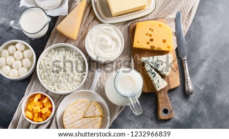 Dairy products.  Milk, cheese, sour cream, cottage, yogurt and butter on dark background