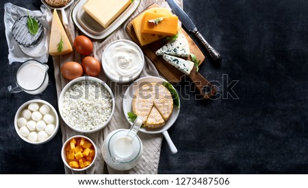 Dairy products.  Milk, cheese, sour cream, cottage, yogurt and butter on dark background. Flat lay with copy space