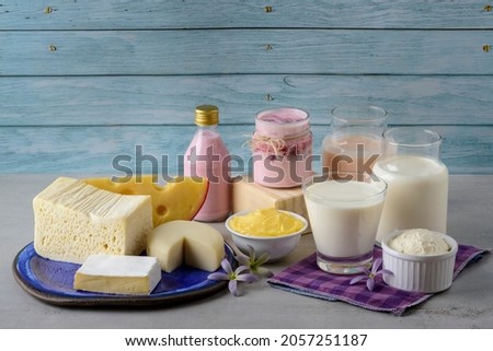 Dairy products. Milk and derivatives.