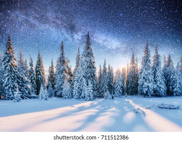 Dairy Star Trek Iover The Pine Forest. Mysterious Landscape Majestic Mountains In Winter.