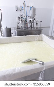 A Dairy Tank With Buffalo Cheese In A Small Family Creamery Is Preparing A Cheese Batch. The Dairy Farm Is Specialized In Buffalo Yoghurt And Cheese Production.