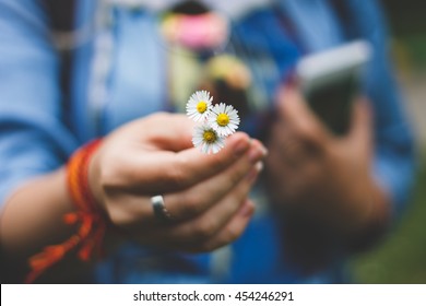 Daisies.
