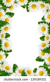 3,830 Bright daisy flowers frame border on white Images, Stock Photos ...