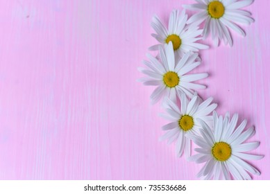 Daisies on the table