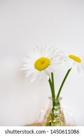 Daisies in vase on a old wooden table. Close-up.