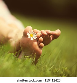Daisy and bare feet on green grass, copy space