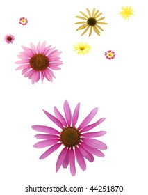 Daisy Bloom Background Stock Photo 44251870 | Shutterstock