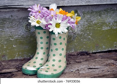 daisy dot boots