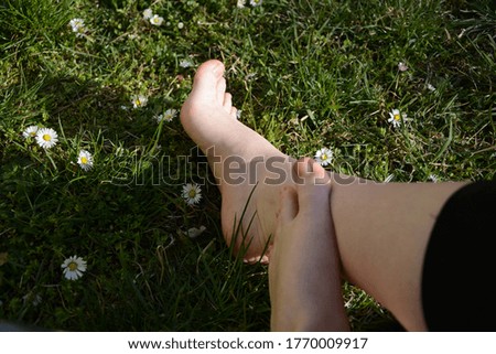 Daisy feet meadow toes grass