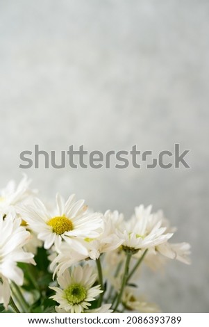Similar – Image, Stock Photo wall flowers Nature Plant