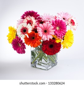 Daisy Flower Gerbera Bouquet On White Background