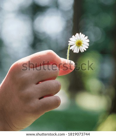 Similar – Image, Stock Photo close contact Animal Daisy