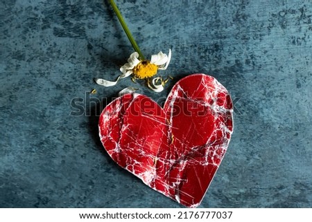 daisy flower with withered falling petals and broken cracked red heart on dark background