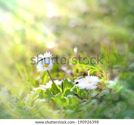 Similar – Image, Stock Photo On the way in the garden IV