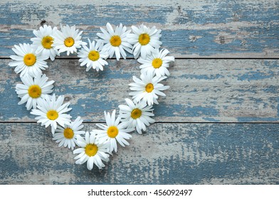 Download Daisy Heart Images Stock Photos Vectors Shutterstock