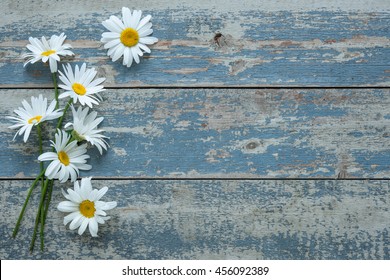 Daisy flowers on old wooden background