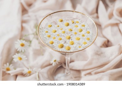 Floral Aesthetic Images Stock Photos Vectors Shutterstock