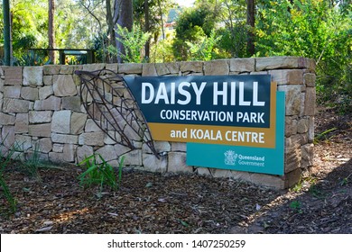 Daisy Hill Images Stock Photos Vectors Shutterstock