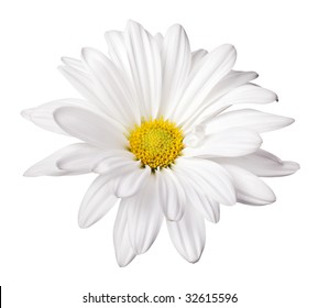daisy isolated on a pure white background - Shutterstock ID 32615596