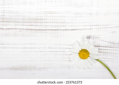 daisy white wooden background