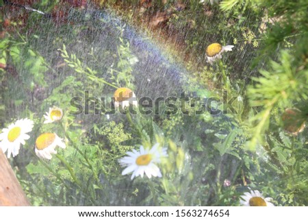 Similar – Foto Bild Blick durchs Fenster nach dem Regen