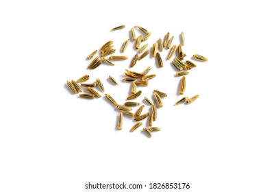 Daisy Seeds From The Common Flower  Ready To Sow  Isolated On White