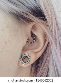 A daith piercing and beautiful ear stretcher