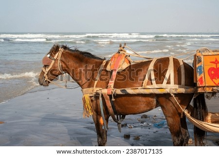 Dakar, Senegal, Africa, November 03 2023, a horse-drawn carriage on a Senegalese beach