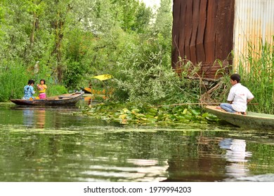 Dal lake, Srinagar, Jammu and kashmir, India dated 14.05.2016- The beauty of Dal lake and the beautiful Shikaras is the most charming thing in Kashmir. Locals life at dal lake.