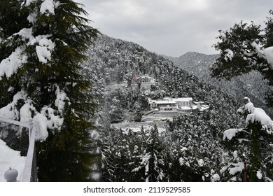 Dalhousie |Himachal Pradesh | Snow