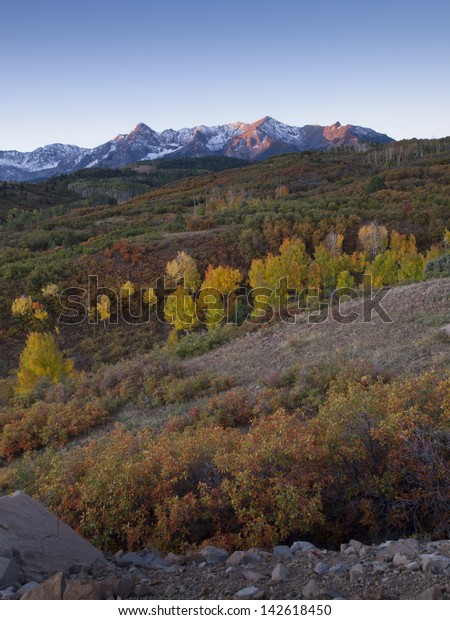 The Dallas\
Divide is a Colorado icon, well known for its vivid fall colors\
produced by scrub oak and\
aspens.